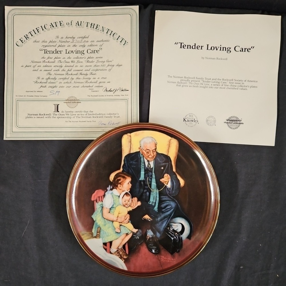 Vintage Norman Rockwell "Tender Loving Care" Decorative Plate 8.5" Knowles 1988